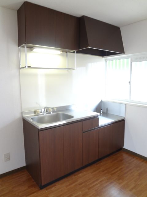 Kitchen. Cooking Easy two-burner gas stove pets in large kitchen