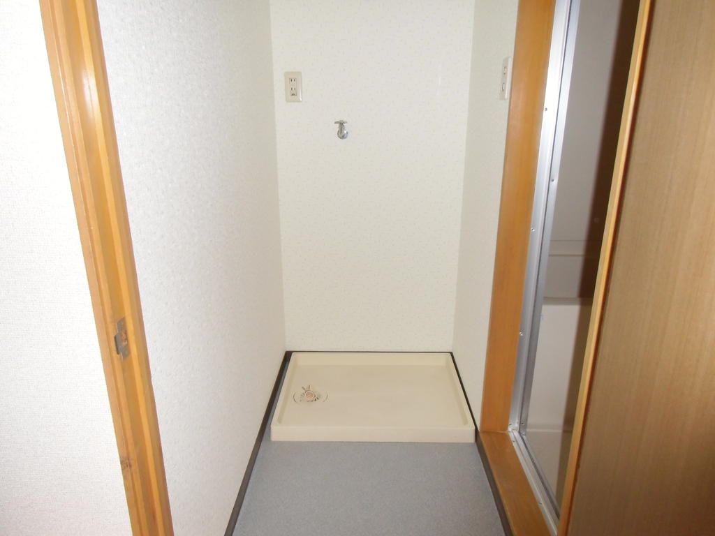 Washroom. Washing machine in the room