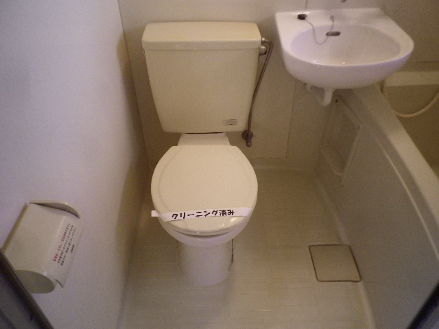 Toilet