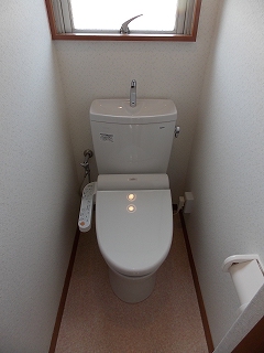 Toilet. Toilet new! Cleaning toilet seat is also new!