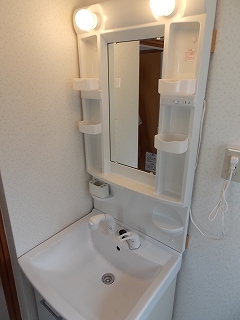 Washroom. Shampoo dresser is also a new!