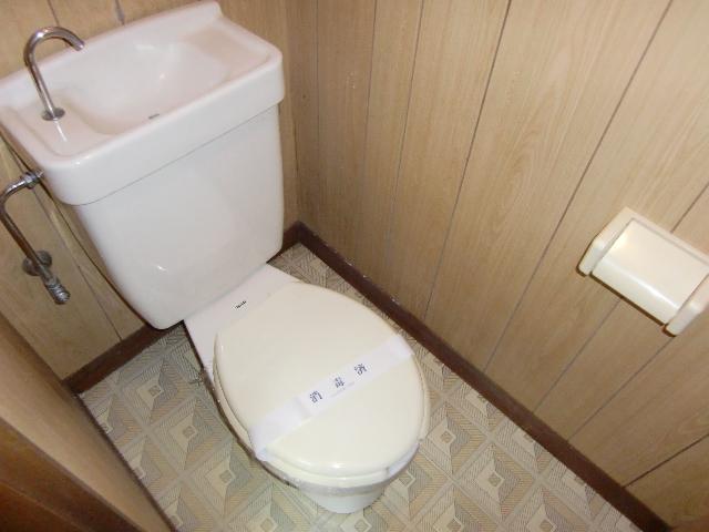 Toilet. Toilet