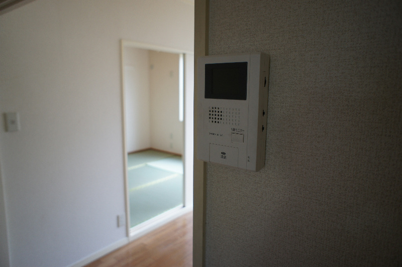 Security. Monitor with intercom