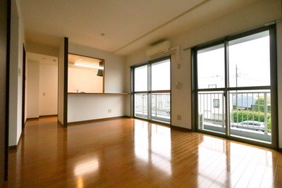 Living and room. Bright living room