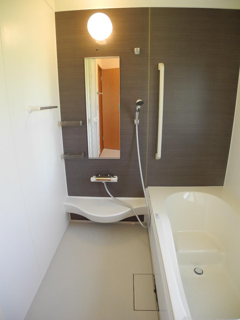 Bathroom. Indoor (September 2013) Shooting