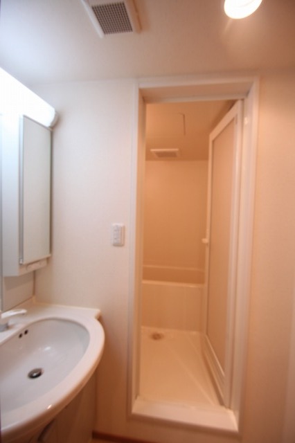 Washroom. Basin undressing space