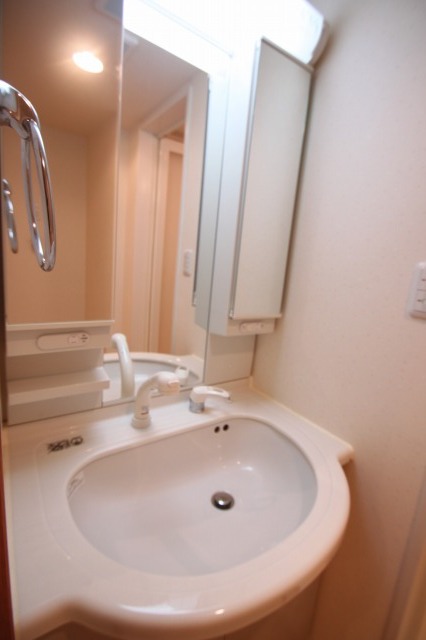 Washroom. Independent wash basin