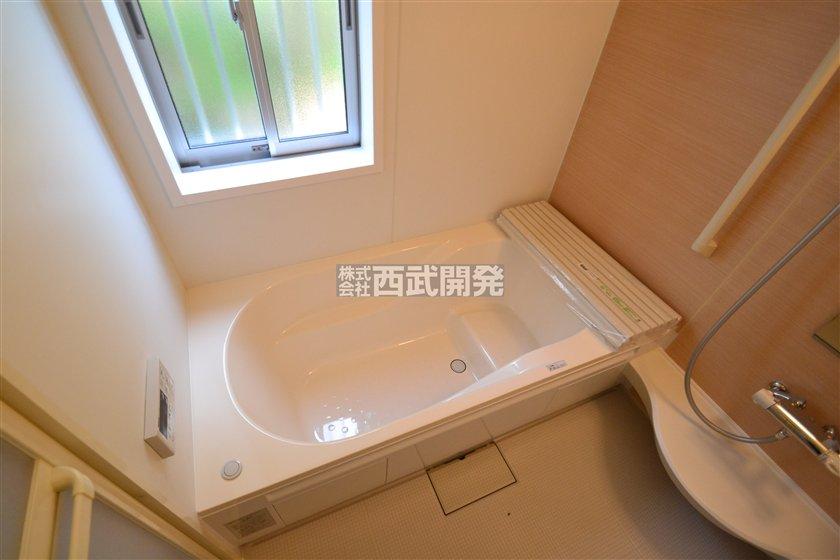 Bathroom. Indoor (10 May 2013) Shooting