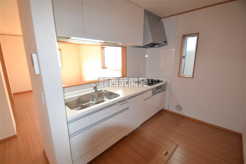 Kitchen. Indoor (10 May 2013) Shooting