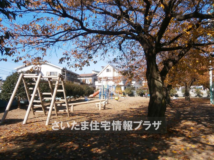 Other. Higher-order exercise Square