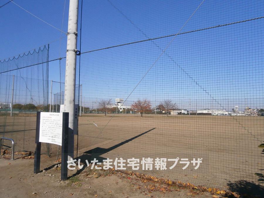 Other. Higher-order Southern public square