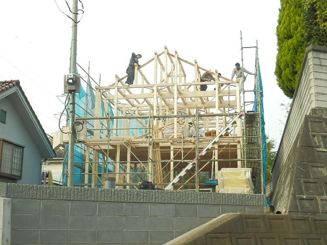 Local photos, including front road. Local (12 May 2013) Shooting