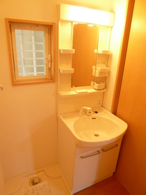 Washroom. Shampoo dresser