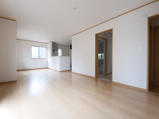 Living. Room (August 2013) Shooting