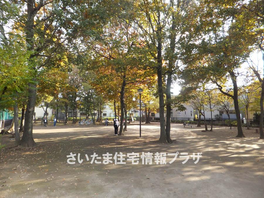 Other. Five-also park