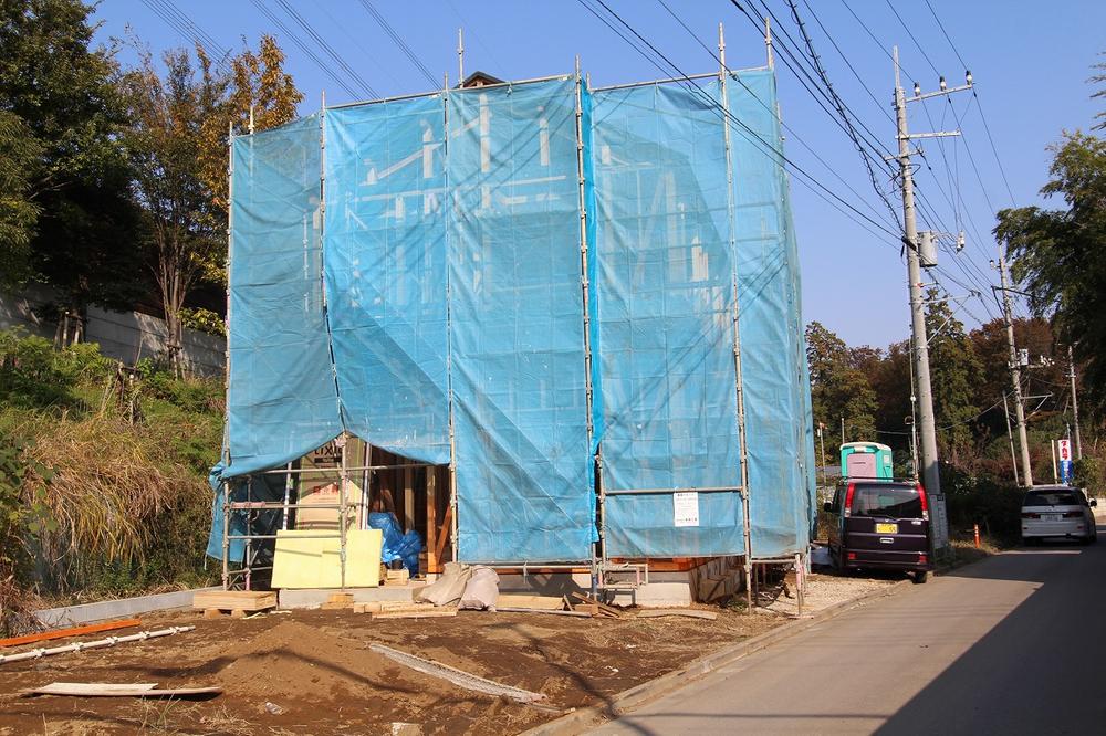 Local appearance photo. local