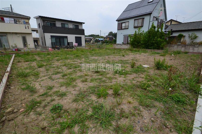 Local land photo. Local (June 2013) Shooting