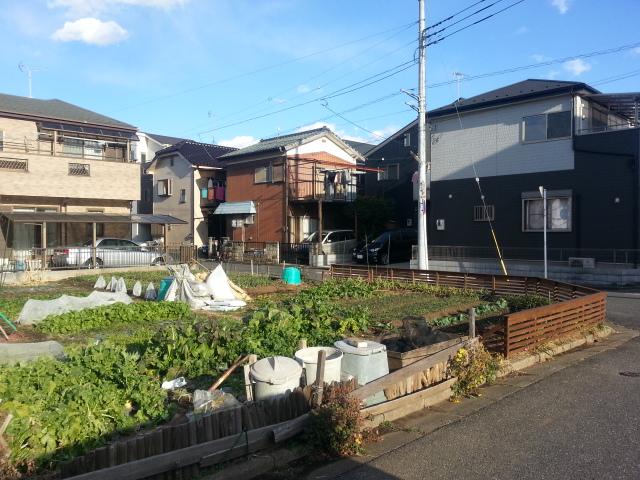 Local photos, including front road. Local (January 2014) Shooting