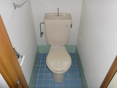 Toilet. Toilet