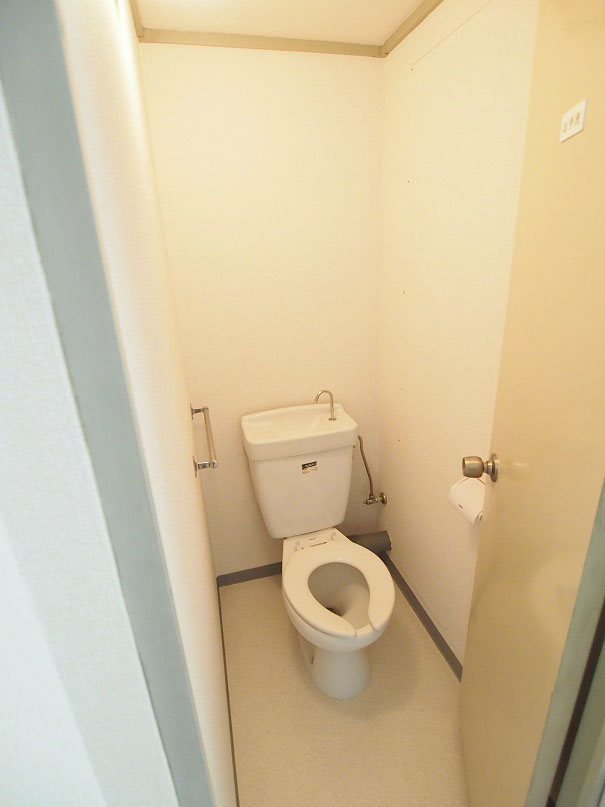 Toilet. Cleaned the toilet.