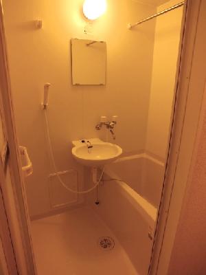 Bath. Bathroom with bathroom ventilation dryer