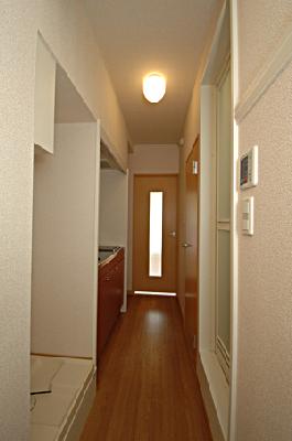 Entrance. From the front door to the living room