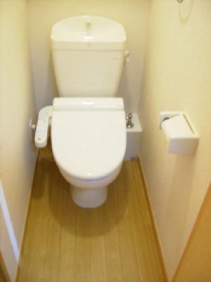 Toilet. Toilet with a comfortable warm water washing toilet seat