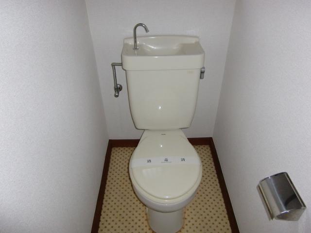 Toilet. Toilet