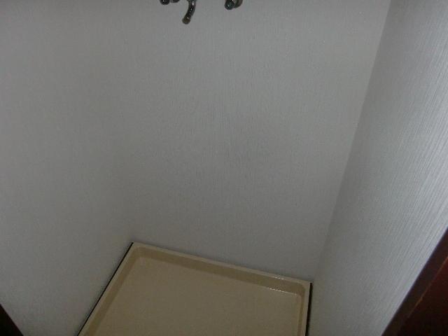 Other. Washing machine Storage