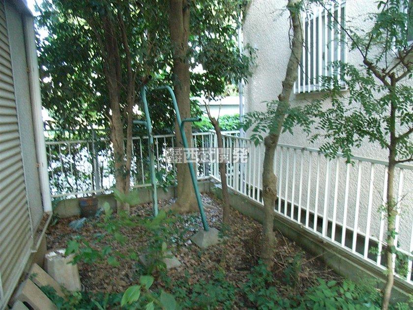 Local land photo. Local (September 2013) Shooting