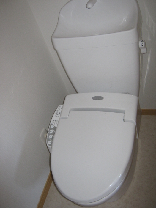 Toilet. Bidet