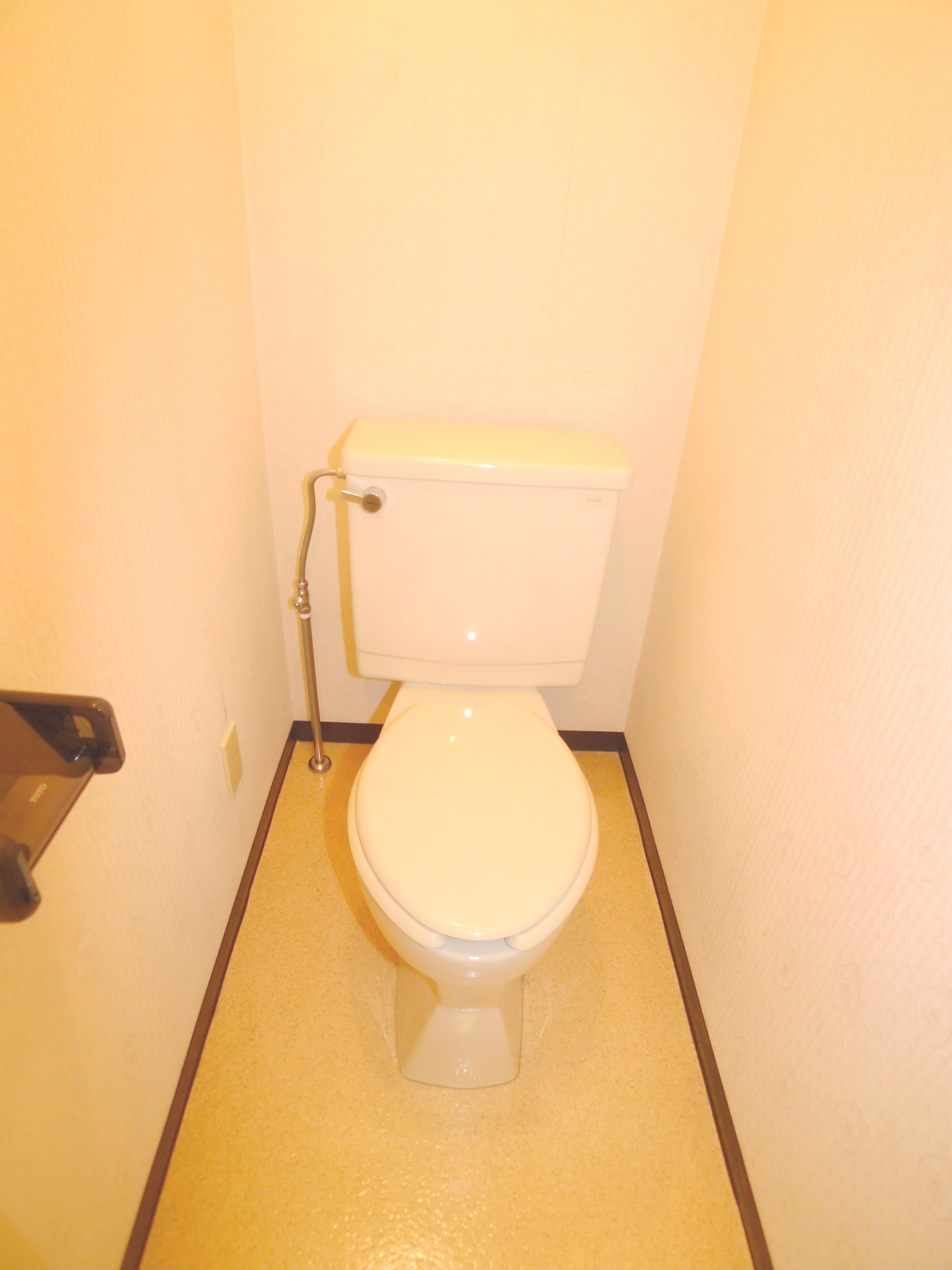 Toilet. Pre-cleaning