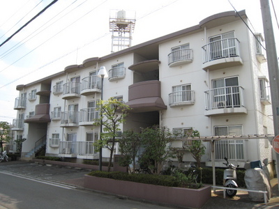 Building appearance. Appearance 2