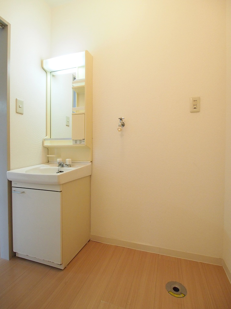 Washroom. Independent wash basin, Washing machine in the room