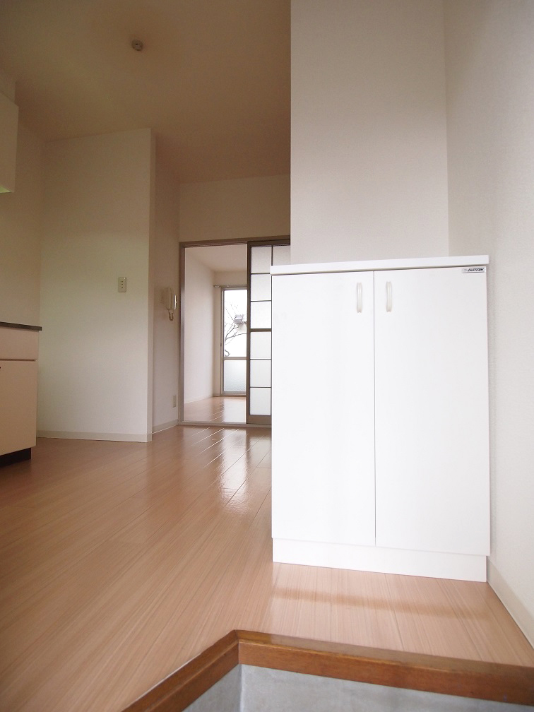 Entrance. The entrance is with a shoe box