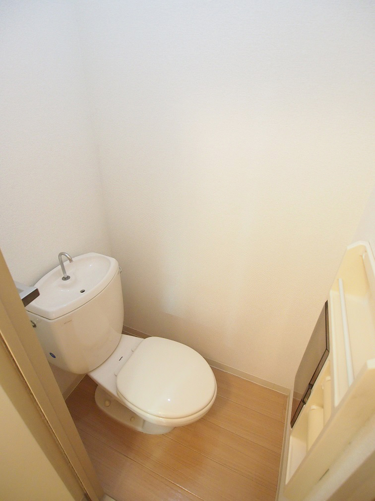 Toilet. Cleaned the toilet