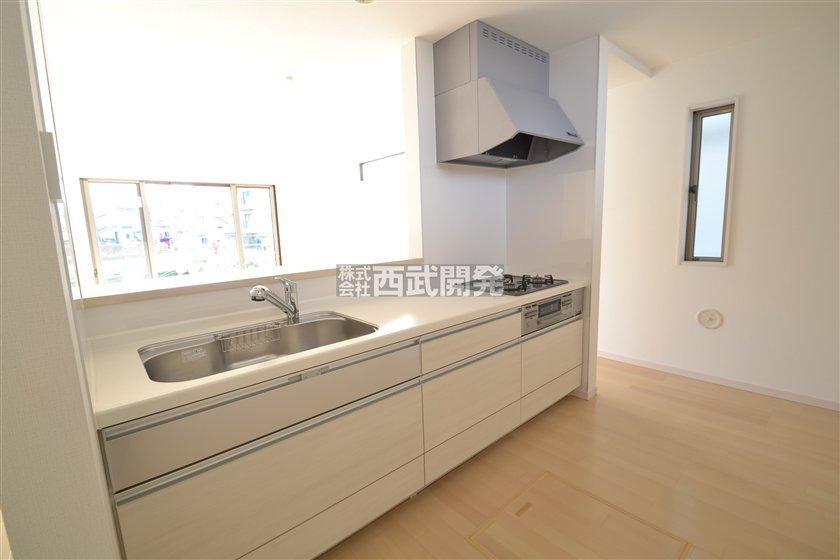 Kitchen. Indoor (12 May 2013) Shooting