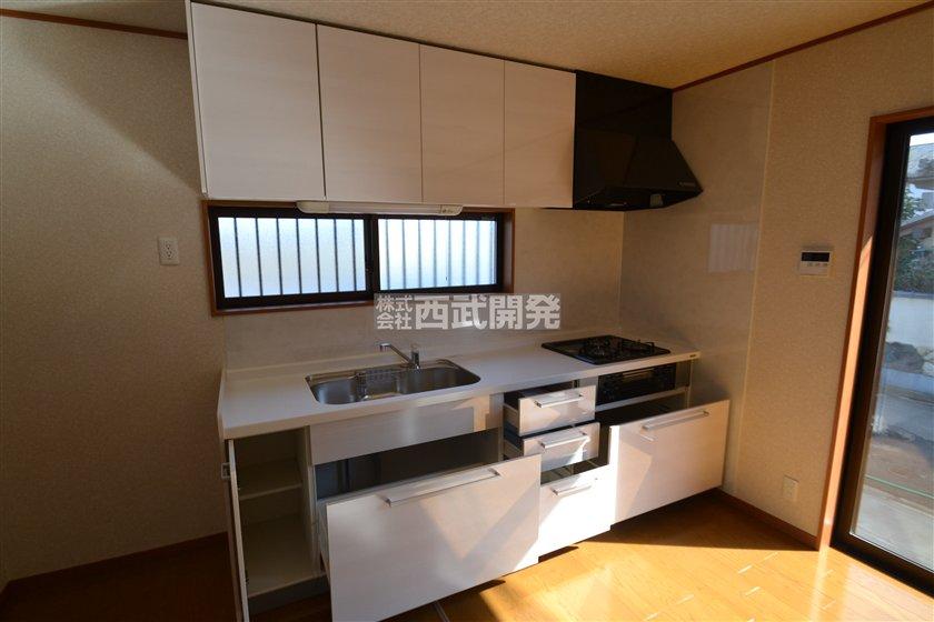 Kitchen. Indoor (11 May 2013) Shooting