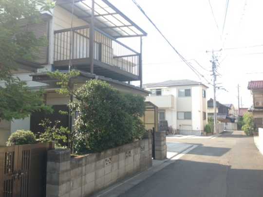 Local land photo. Appearance 1