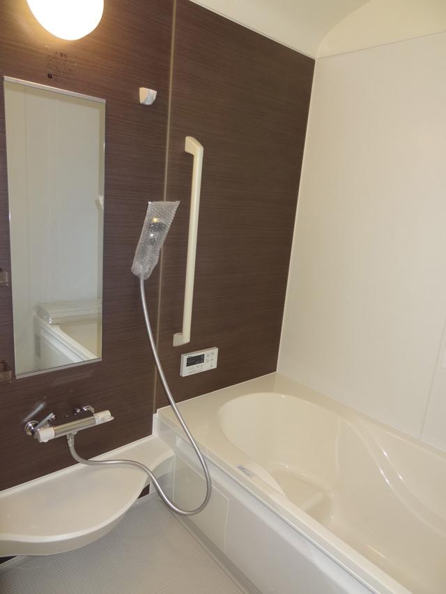 Bathroom. Indoor (10 May 2013) Shooting