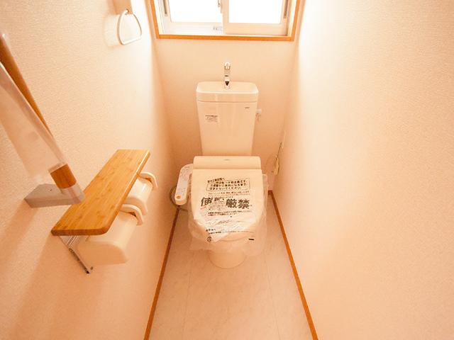 Toilet. Room (August 2013) Shooting