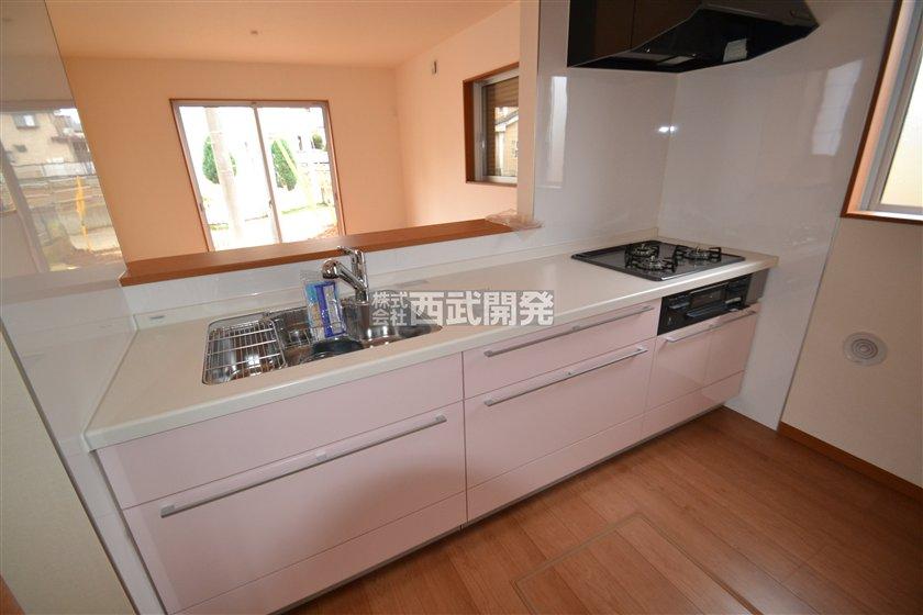 Kitchen. Indoor (10 May 2013) Shooting