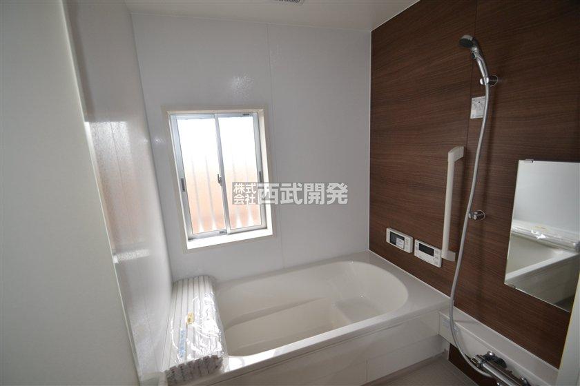 Bathroom. Indoor (10 May 2013) Shooting