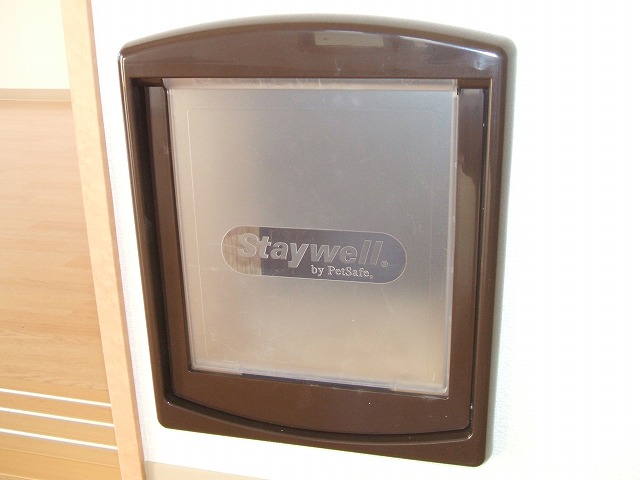 Other Equipment. Pet wicket