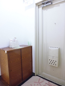 Entrance. There is a cupboard in the entrance