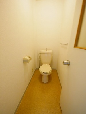 Toilet. Same type of room image