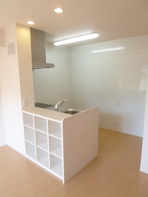 Kitchen. Counter Kitchen