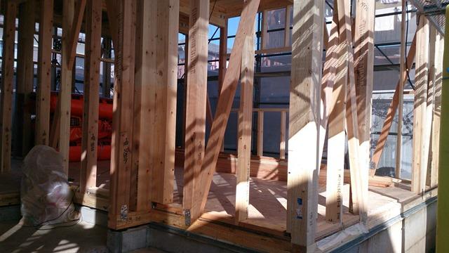 Local appearance photo. Local (December 23, 2013) Shooting