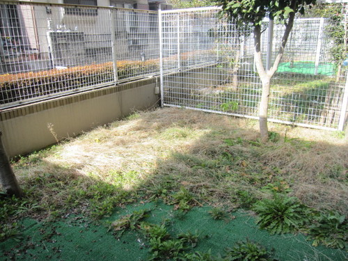 Garden. Private garden