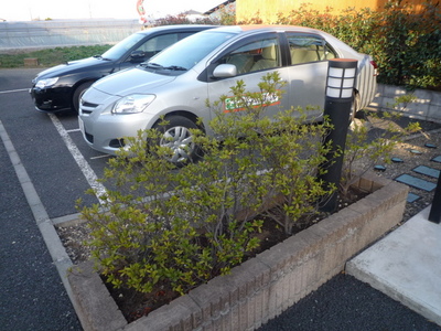 Other. (Other) up to 10m